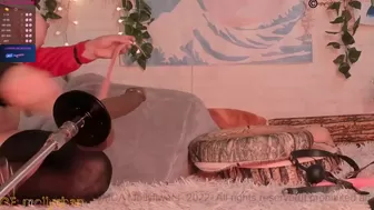 mollyflwers chaturbate 23 February 2022 Newest from chaturbate Camshow Porn