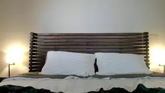 embersnow myfreecams The imposing bitch dances beautifully naked