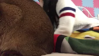 Maricahase onlyfans 7-01-2022 performance Camcording
