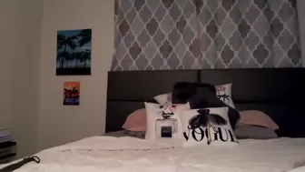 laceycoffeegirl chaturbate Latest May from chaturbate