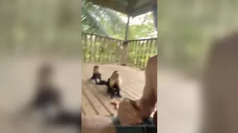 bwctravelvids onlyfans  slender model pulls pussy