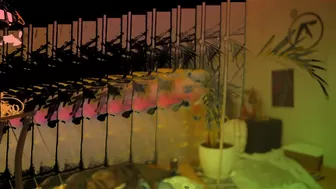 psychedelicariaa chaturbate private show form July-14-2022 year