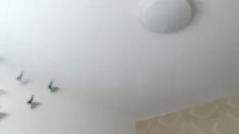 kissofacobra chaturbate Seductive babe masturbates shaved cunt