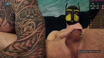 muscle_dog chaturbate Cute chicks masturbate