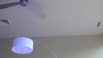 lilliecat Latest